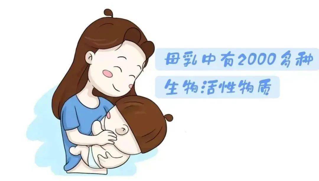 创周末客流新高！深港陆路口岸单日客流均破百万