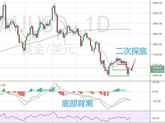 “稀客”紫背椋鸟到访福建