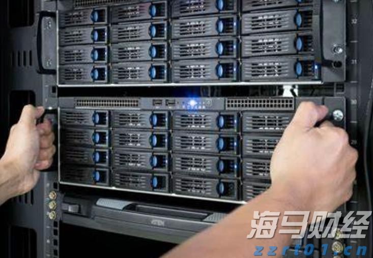 霞山区“红树林保护协作探索工作室”正式揭牌